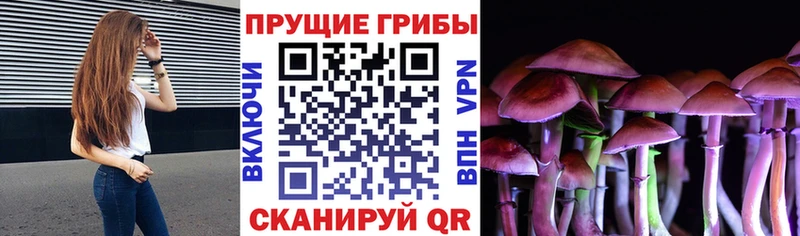Галлюциногенные грибы Magic Shrooms это состав Вичуга blacksprut как войти