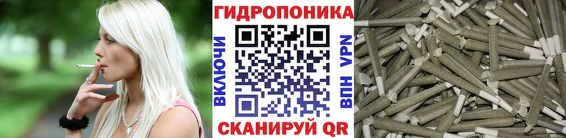 МАРИХУАНА конопля  Вичуга 